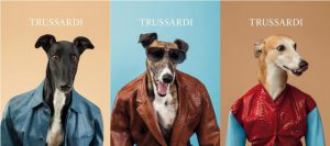 Trussardi представит первую коллекцию для собак